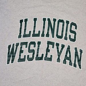 Vintage Illinois Wesleyan‎ College University Champion Crewneck Gray Tshirt